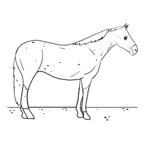 Free Horse Picture To Color In