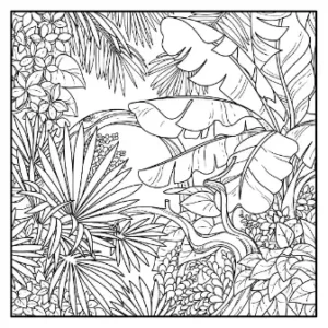 Free Jungle Picture To Color In