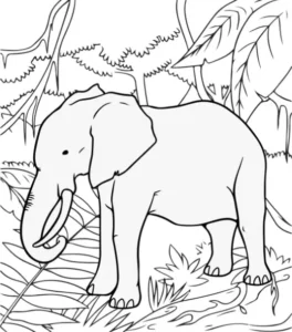 Free Jungle Picture To Color In