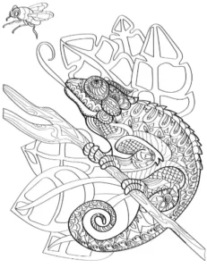 Free Lizard Picture To Color In