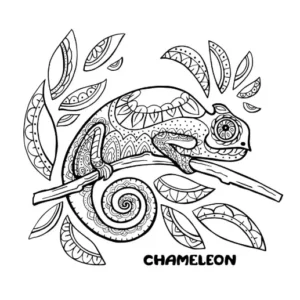 Free Lizard Picture To Color In