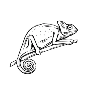 Free Lizard Picture To Color In