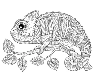 Free Lizard Picture To Color In
