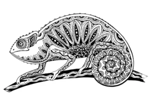 Free Lizard Picture To Color In