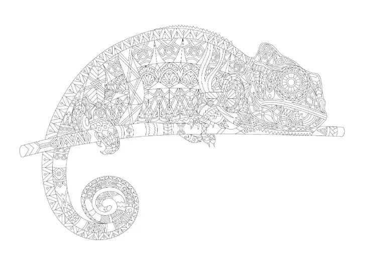 Free Lizard Picture To Color In