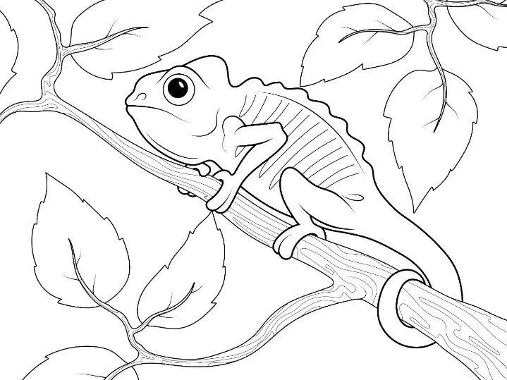 Free Lizard Picture To Color In