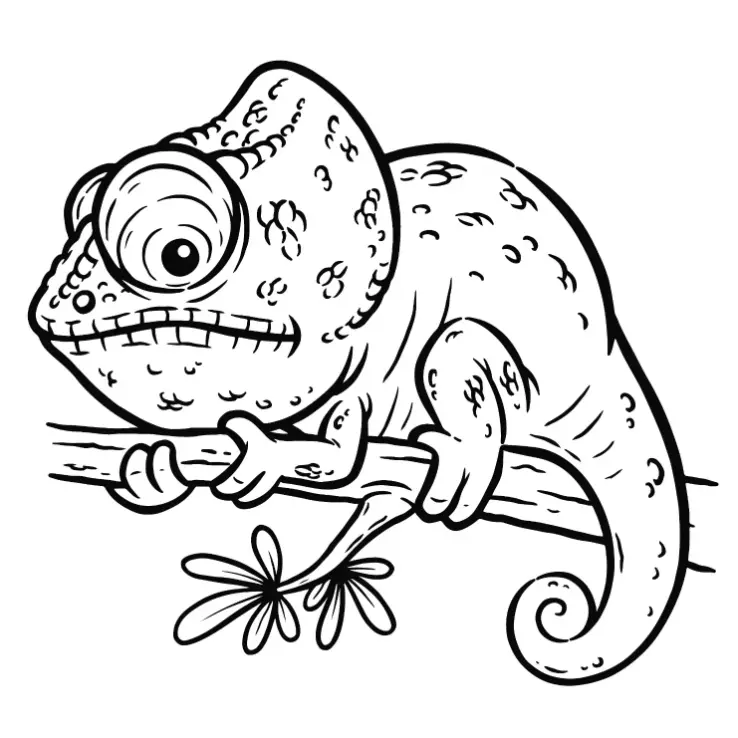 Free Lizard Picture To Color In