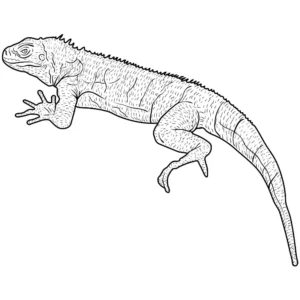 Free Lizard Picture To Color In