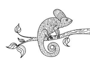 Free Lizard Picture To Color In