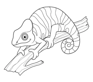 Free Lizard Picture To Color In