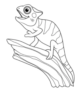 Free Lizard Picture To Color In