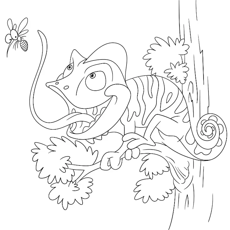 Free Lizard Picture To Color In