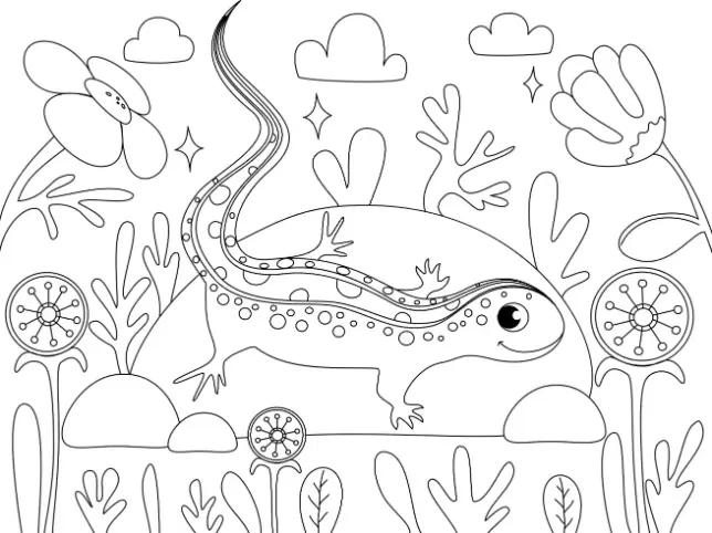 Free Lizard Picture To Color In