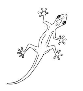 Free Lizard Picture To Color In