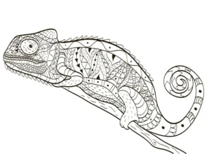 Free Lizard Picture To Color In