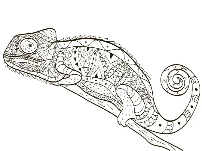 Free Lizard Picture To Color In