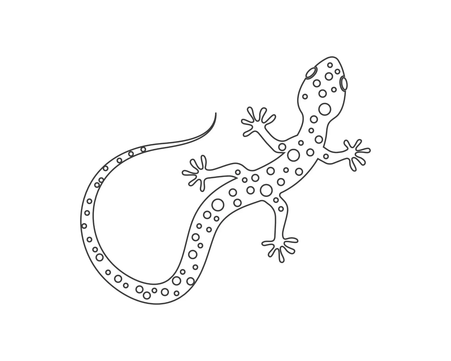 Free Lizard Picture To Color In