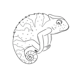 Free Lizard Picture To Color In