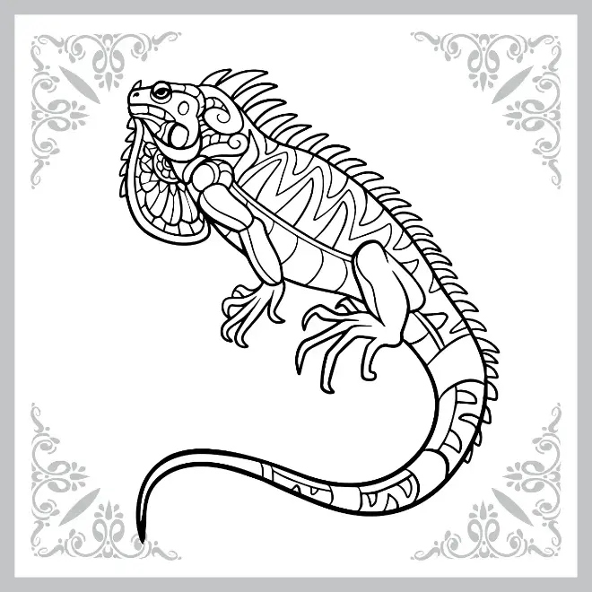 Free Lizard Picture To Color In