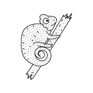 Free Lizard Picture To Color In