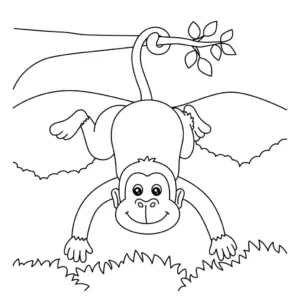 Free Monkey Picture To Color In