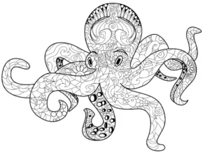 Free Octopus Picture To Color In