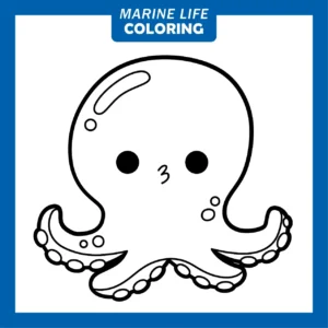 Free Octopus Picture To Color In
