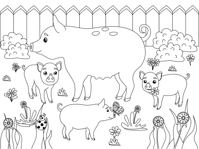 Free Pig Picture To Color In