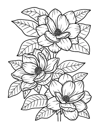 Free Plants And Flowers Picture To Color In