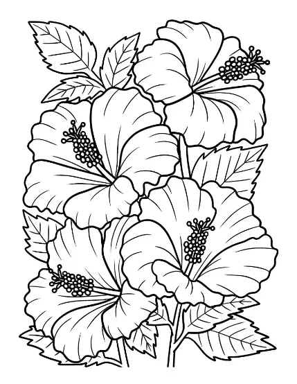 Free Plants And Flowers Picture To Color In
