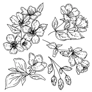 Free Plants And Flowers Coloring In Picture