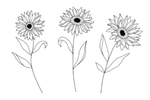Free Plants And Flowers Picture To Color In