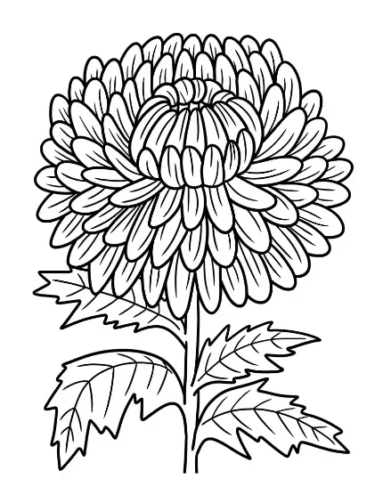 Free Plants And Flowers Picture To Color In