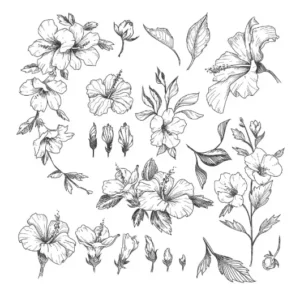 Free Plants And Flowers Picture To Color In