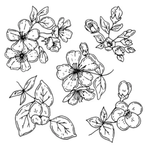 Free Plants And Flowers Picture To Color In