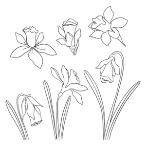 Free Plants And Flowers Picture To Color In