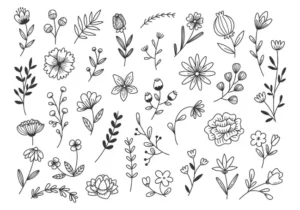 Free Plants And Flowers Picture To Color In