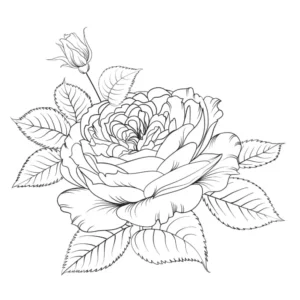 Free Plants And Flowers Picture To Color In