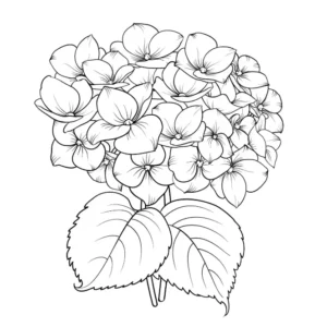 Free Plants And Flowers Picture To Color In