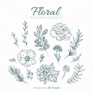 Free Plants And Flowers Picture To Color In