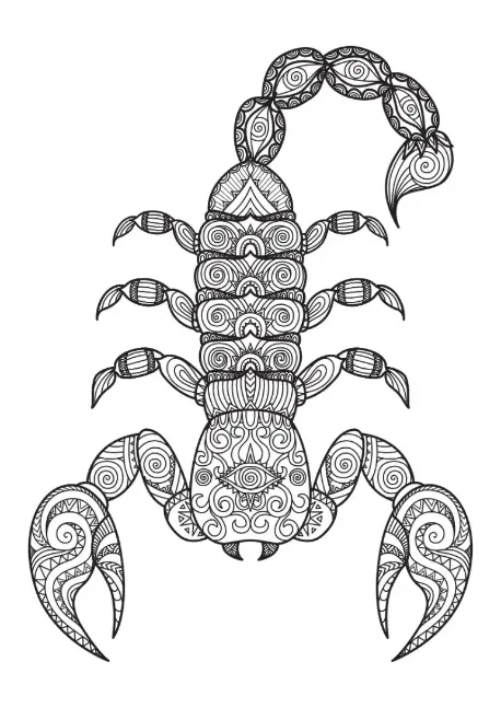 Free Scorpion Picture To Color In