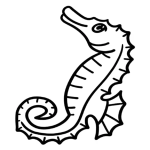 Free Seahorse Picture To Color In