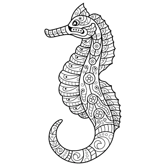 Free Seahorse Picture To Color In