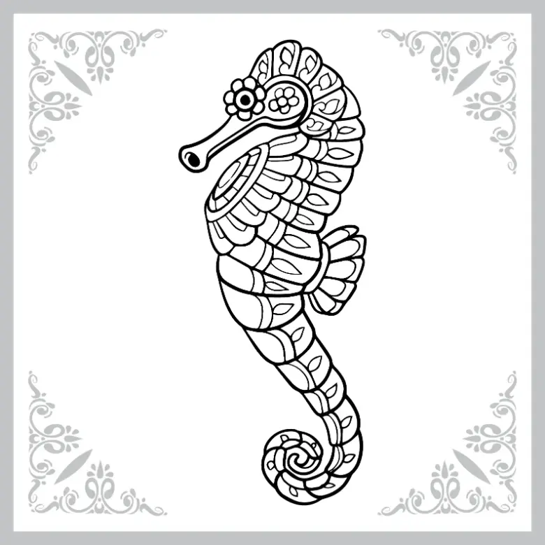 Free Seahorse Picture To Color In