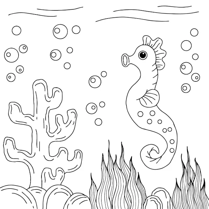Free Seahorse Picture To Color In