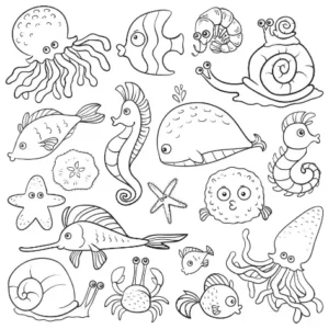 Free Seahorse Picture To Color In