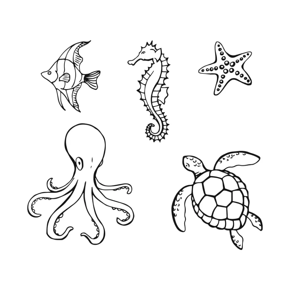Free Seahorse Picture To Color In