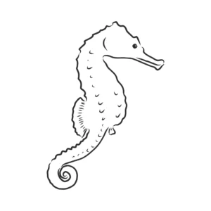 Free Seahorse Picture To Color In
