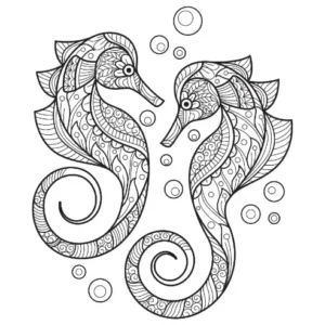 Free Seahorse Picture To Color In