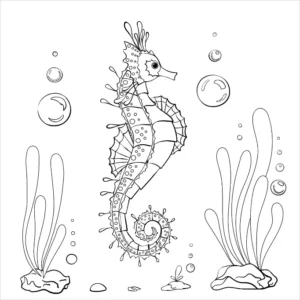 Free Seahorse Picture To Color In
